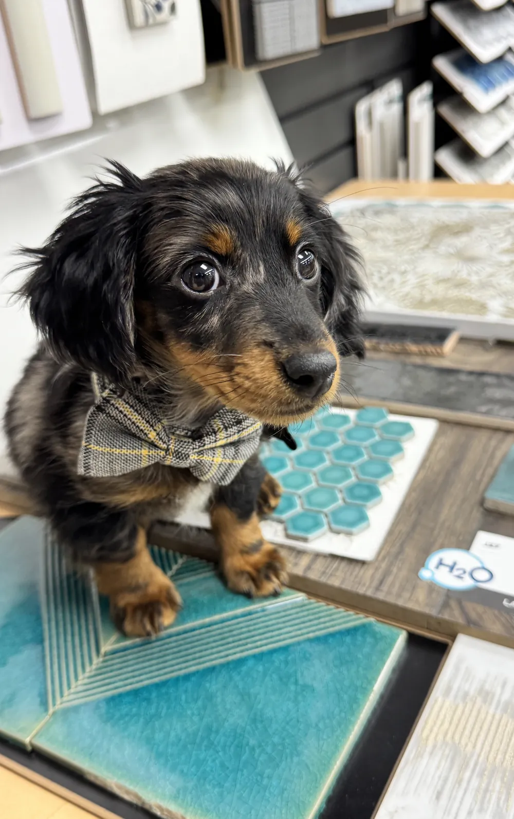 Flooring design inspiration 3